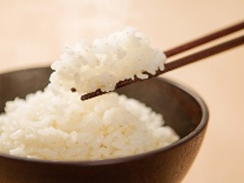 カタログギフトの一例